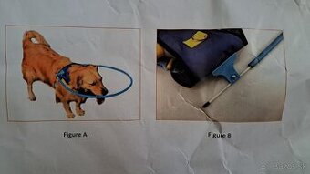Konštrukcia pre slepeho psika