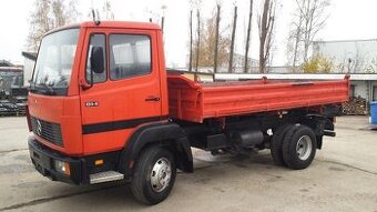 LKW vodič k lešeniu | Nemecko | 21 €/hod |Ubytovanie hradené