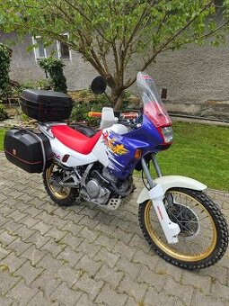 Honda dominator