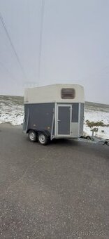 Prepravnik na kone - 1