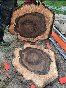 predám priečne rezy orecha na stolíky