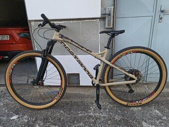 Dartmoor Primal