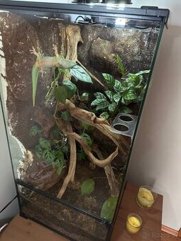 Bioaktivne terarium + felzumy madagaskarske