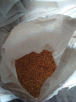 kukurica psenica slnecnica zmeska pre nosnice