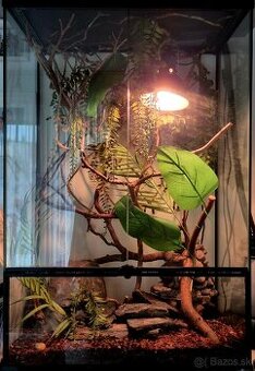 Terárium Repti Planet