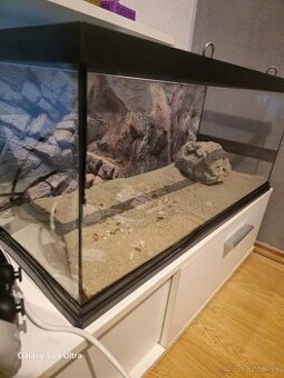 Terarium - 1