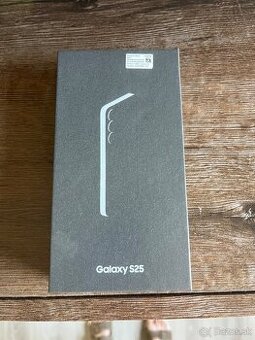 Samsung Galaxy S25