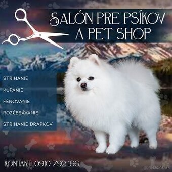 Salón pre psíkov