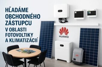 Obchodný zástupca FVe