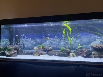 WRGB LED osvetlenie akvária 200cm/100w