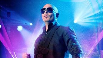 Pitbull Krakow 24.6. - 4 lístky vedľa seba