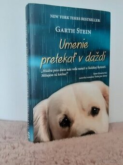 Umenie pretekať v daždi