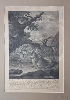 Ridinger   -medirytina  /vyše 270.ročná/