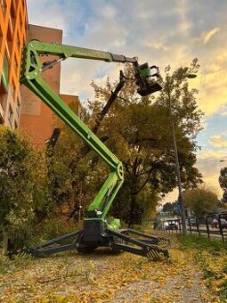 Výrub , opilovanie stromov