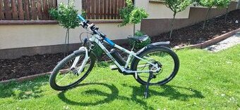 Ben e bike 24