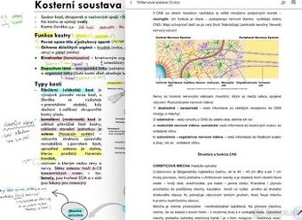 Psychológia : príprava - komplet na Bc prijímačky