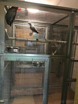 Panely na stavbu volier