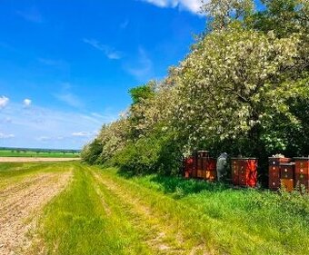 Mam záujem o prenájom/kúpu pozemku