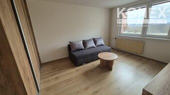 PRENÁJOM Novo-rekonštruovaný 1-izbový byt - Stráňany