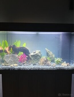 Juwel aquarium