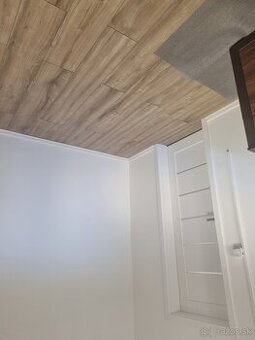 Prenajom nebytoveho priestoru na služby - 1