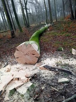 Pilcik / Pilcik Nemecko