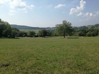 Pozemok - trvalý trávnatý porast