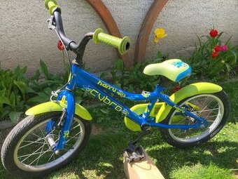 Harry Cybro 16”
