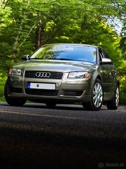 Audi A3 8P 1.9TDI 77KW BXE bez DPF