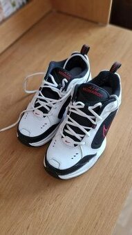 Nike Air Monacrh IV Training