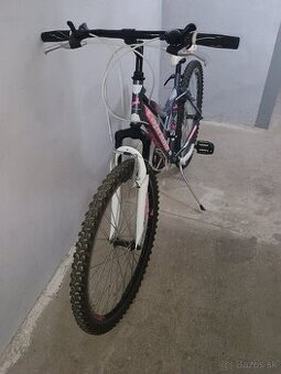Bicykel