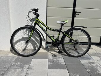 Bicykel Harry Jetty 24"