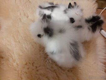 Teddy zajačik vzhľad ako plyšáčik - 1