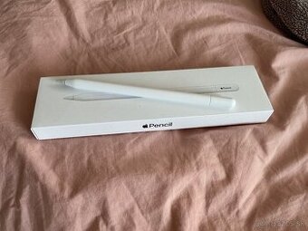Apple pencil USB-C