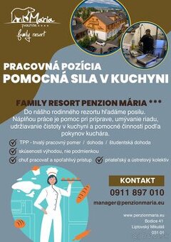 Pomocná sila v kuchyni