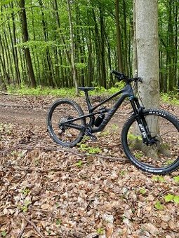 Canyon CF7 2024 L