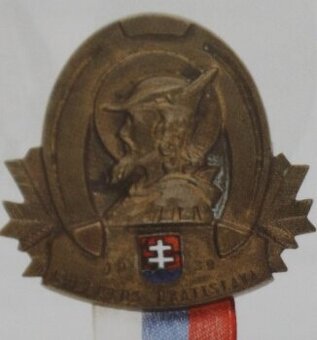 vojenské odznaky na sponu - Slovensko