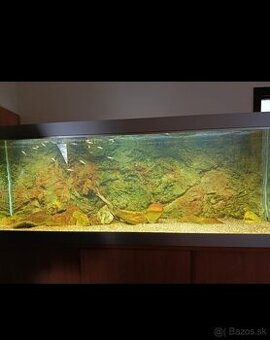 Predám akvárium