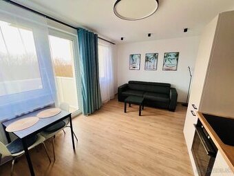 1 izbový byt s parkovaním Bratislava. Prenájom.