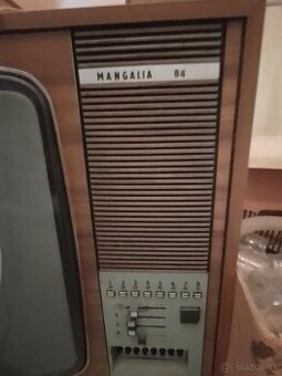 Televizor