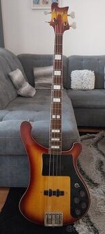 Jolana D-BASS