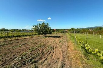 Skvelá cena Dom a veľká záhrada 2400 m2 v Štefanovej