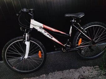 Dámsky horský bicykel CTM TERRANO LADY
