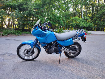 Suzuki DR650 RSE