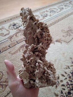 Korál, dekoracia, starožitnosti