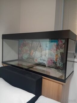 Akvárium 240l