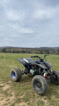 Bashan 200