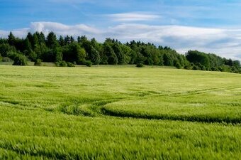 Čeľovce - 900 m2 POĽNOHOSPODÁRSKY POZEMOK