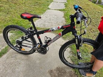 KENZEL 24