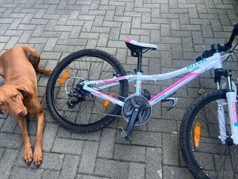 Bicykel junior 24 kellys kiter 50 11ram